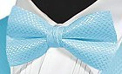georgetown bow tie