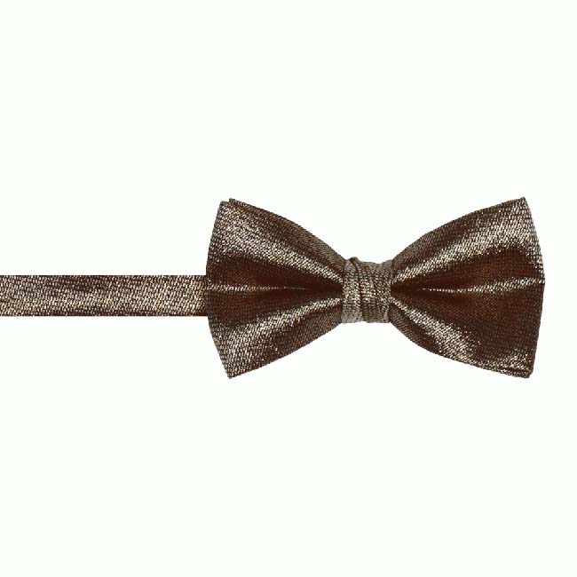 Young Boys Fancy Pre-tied Adjustable Band Bow Tie With Hanky